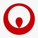 VNS Federal Services logo
