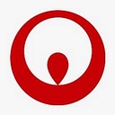 VNS Federal Services logo