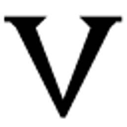 VNS InfoSystems Inc. logo