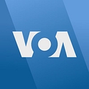 O Gato que Voa logo