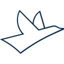 Vogel