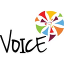 Viable Options in Community Endeavors logo