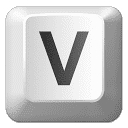 voize