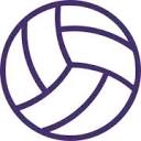 volleyballblaze.com logo