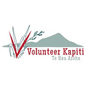 Volunteer Kapiti 2020 logo