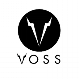 VOSS Events INC logo