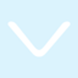 Voss USA Inc. logo