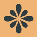 Voyage IQ logo