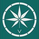 Voyager Life logo