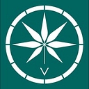 Voyager Life logo