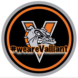 Valliant Es logo
