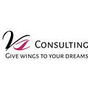 VS Consulting Company logo