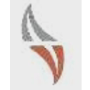VSF Projects Limited logo