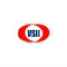 VisionSoft International, Inc logo