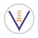Vital Solutions International logo