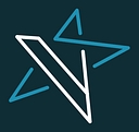 Vsm Marketing logo