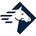 Vti Security logo