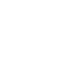 Vertex Solutions   Dallas/Fort Worth Tx logo