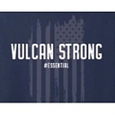 Vulcan Global Manufacturing Solutions Inc
