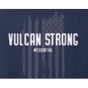 Vulcan Global Manufacturing Solutions logo