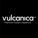 Vulcanica logo
