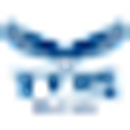 Valley Vista High logo