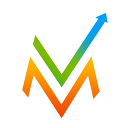 VVM Infotech LLC logo