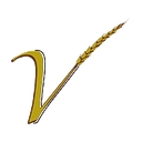 V Wealth Management Llc logo