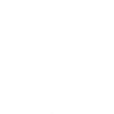 W5 Group logo