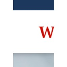 WANG & Associates, P.C. logo