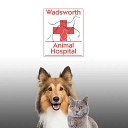 Lakewood Animal Hospital