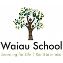 Waiau School logo