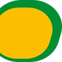 Wais logo