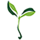 Tauranga Waldorf School logo