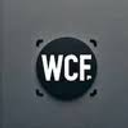 Mary T Walker & Charles D Walker Charitable Foundation Inc logo