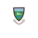 Wallace Fields Infant School and Nursery logo