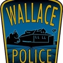 Town of Wallace logo