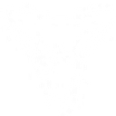 Wallich Padel logo