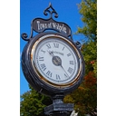 Town of Walpole logo