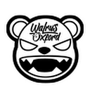 Walrus Oxford