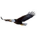 Walton Academy logo