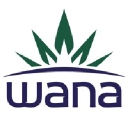 Wana Wellness logo