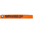 Warren-Alvarado-Oslo School District logo