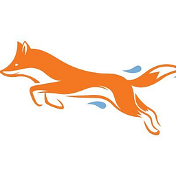 Wash Fox Car Wash logo
