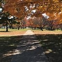 Washington Park District logo