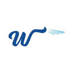 Washville Car Wash logo