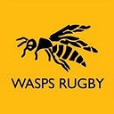 Wasps Rugby logo