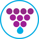 Water From Wine logo