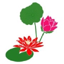 Bennetts Waterlily Plants logo