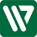 Wave7 logo